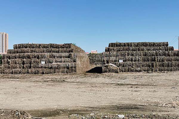 生物質(zhì)秸稈破碎機