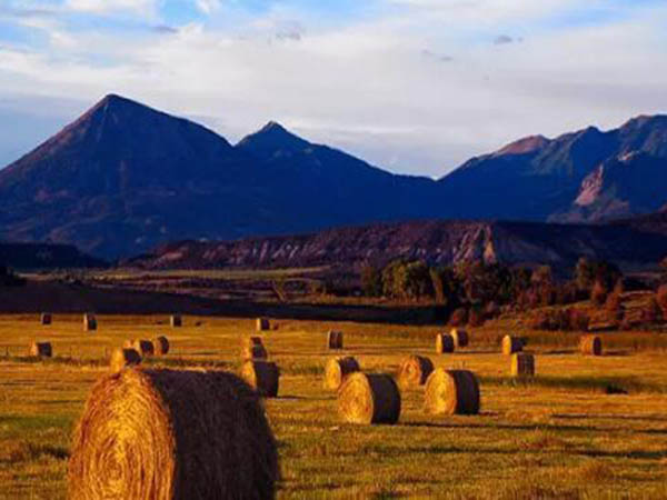 潔普智能生物質(zhì)破碎機(jī)巧助力