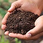 有機(jī)肥料