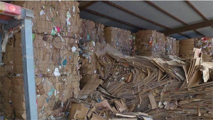 智能廢紙破碎機(jī)強(qiáng)力助推廢紙回收