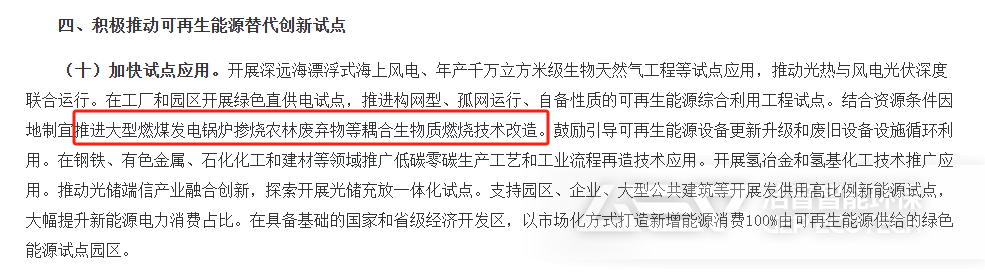 《關(guān)于大力實施可再生能源替代行動的指導(dǎo)意見》