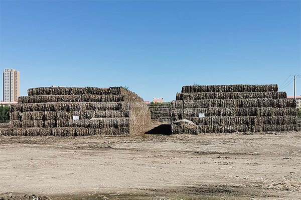 生物質(zhì)秸稈處置工藝