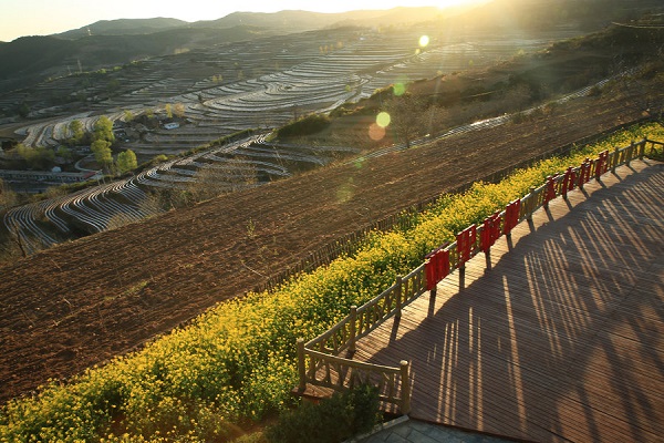 農(nóng)田“白色污染”再革命開(kāi)始了