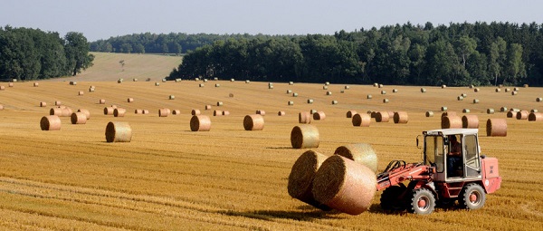固廢處置經(jīng)典案例|歐洲生物質(zhì)燃料破碎處置生產(chǎn)線項(xiàng)目