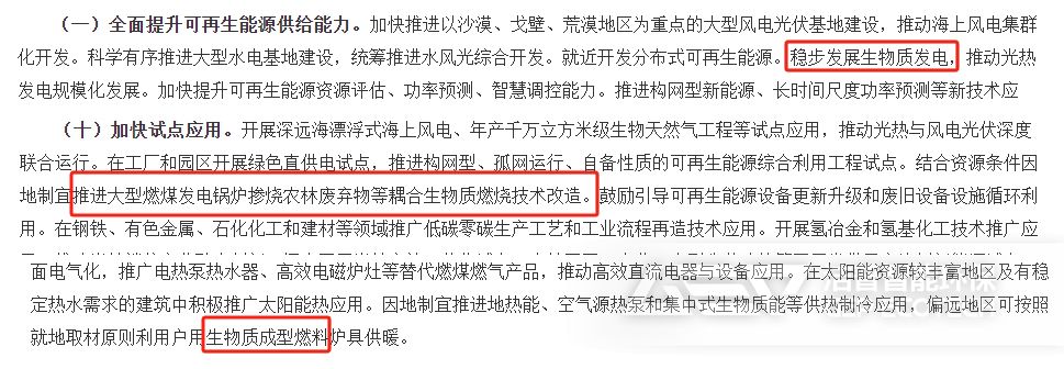 《關于大力實施可再生能源替代行動的指導意見》