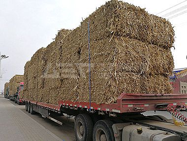 潔普智能環(huán)保生物質(zhì)發(fā)電項(xiàng)目現(xiàn)場